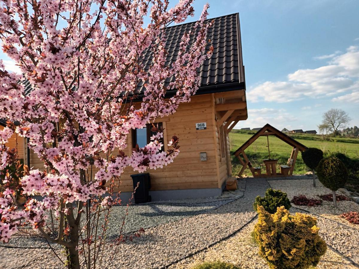 Motylowe Wzgorze Bieszczady